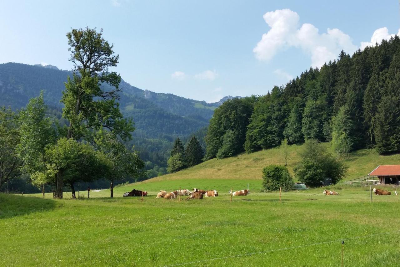 Ferienwohnung Gschwendtnerhof App13 Lincke Aschau im Chiemgau Exterior foto